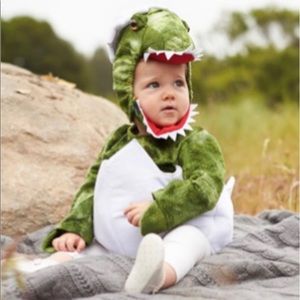 Pottery Barn Baby Dinosaur Costume